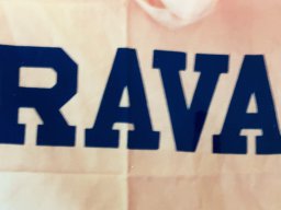 E1991 RAVA PUPS1